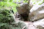 Thumbs/tn_Vakantie Luxemburg 029.jpg